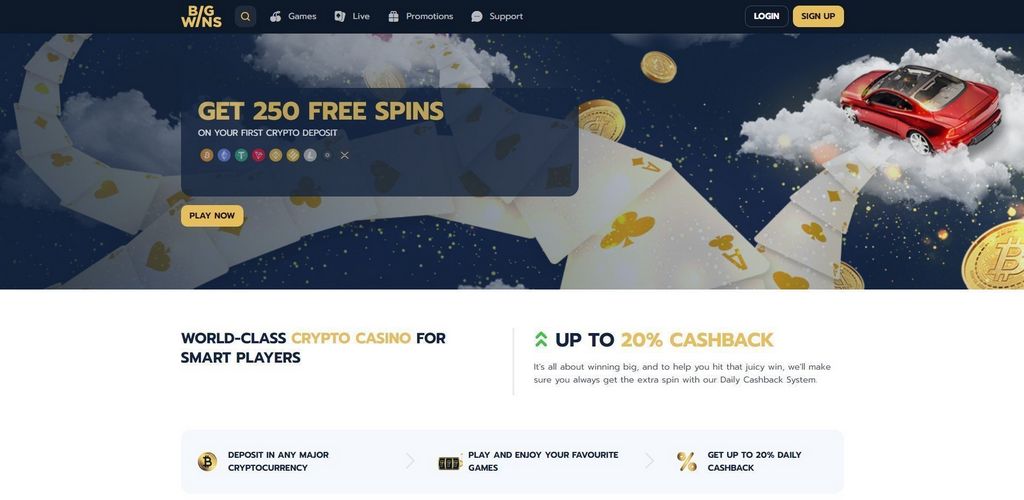Bigwins Gambling Enterprise Review: Full Evaluation in 2025